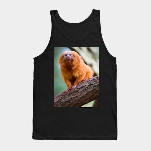 Amazonas animal 01 Tank Top by Yriah 